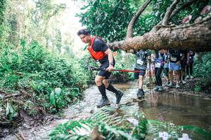 BIB: 
                            <button type="button" onclick="openModal(25474150)" class="btn btn-primary btn-sm float-right btn-popup" data-toggle="modal" data-target=".modal-high-quality">
                        <i class="fas fa-shopping-cart"></i> Add to Cart
                    </button>
                                            <button type="button" onclick="isThisMe(25474150, true)" class="btn btn-success btn-sm float-right btn-popup btn-isme hidden" data-toggle="tooltip" data-placement="bottom" title="นี่คือรูปของคุณใช่ไหม คลิกที่นี่เพื่อเอาเข้าอัลบั้ม">
                        <i class="fas fa-plus"></i> Add to album
                    </button>
                    <button type="button" onclick="isThisMe(25474150, false)" class="btn btn-warning btn-sm float-right btn-popup btn-isnotme hidden">
                        <i class="fas fa-ban"></i> Remove from album
                    </button>